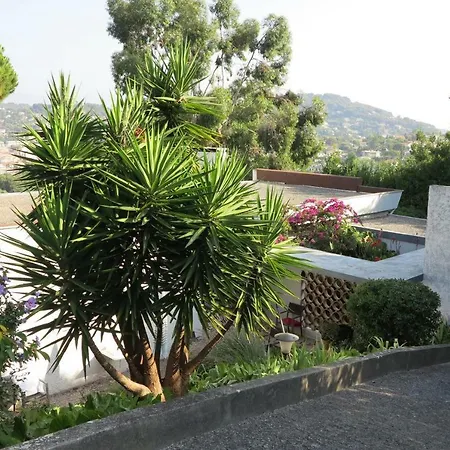 Grande Super Cannes Avec Piscine Appartement Vallauris