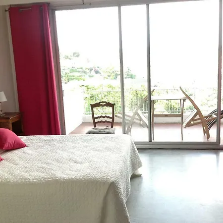 Grande Super Cannes Avec Piscine Appartement